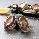 수협쇼핑(온라인몰) 이미지