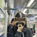 예인노래방 이미지
