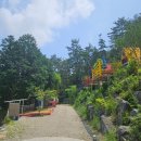 통영 편백숲길 관광농원 이미지