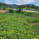 남해군 풍경 이미지