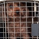 연동파출소 이미지