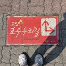 고양누리길 7코스 호수누리길 | 일산 가볼만한곳 고양누리길 7코스 / 4월 일산호수공원 나들이