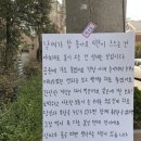 브리꼴라주 이미지