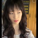 시저리 이미지