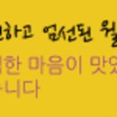 진선푸드 웰빙채식 만두 솔직후기/채식주의자 /다이어트 / 야채만두 / 김치만두 / 찐만두 / 손만두...