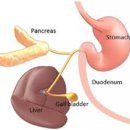 박순석동물메디컬센터 이미지