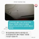 덴트리스토어