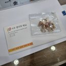 [방문 후기] 안산에 있는 해닐 사주 방문기