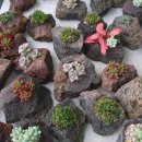 밀알농원 이미지