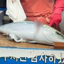 삼천포 용궁수산시장#8 이미지