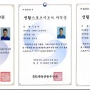 용인대 합기도 이미지