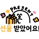 코코호도 이미지