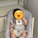 피네토 이미지
