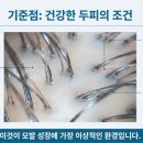 세란의원