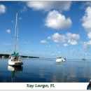 Key Largo, Florida 이미지