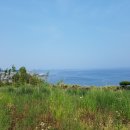 포항시남구65 이미지