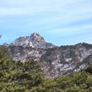 점봉농장 이미지