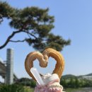 아라참 간식 이미지