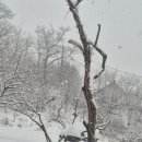 신야춘추 이미지