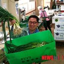 철탑 농장 이미지