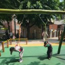 새록어린이공원 이미지