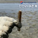 행복마트 | 태안 진산리어촌계 행복마트 맛조개 물때 체험 후기