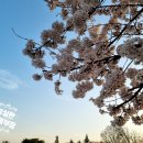 스카이뷰자이공인중개사사무소 이미지