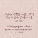평범한사람 Daum카페
