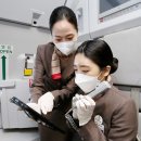 꿈의 비행 이미지