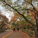 금지순환길 이미지