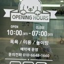 해피하개 애견샵 | 대구 수성구 애견미용 안아줄개 내돈내산 후기