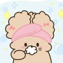 (주)굿365 이미지