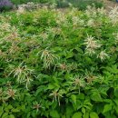 이공부동산중개사무소 이미지