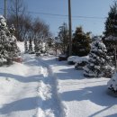 아침농원 이미지