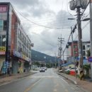 예쁘개# 애견미용실 이미지