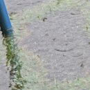 금소생태공원3 이미지