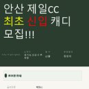 [신입 모집] "처음" 안산소재 제일cc 신입캐디모집을 합니다!!! 버스정류장이 바로 앞~~ 시내에 있는 골프장!!! 이미지