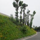 6월 2일 덕동산-소사벌(평택섶길 1-1~1코스=1) 이미지