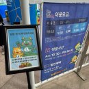 1476 | 대구 아이랑 짚라인, 하이로프 체험 l 달용이챌린지파크
