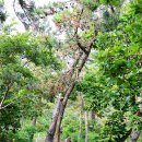 송공경로당 이미지