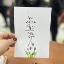 일레체 이미지