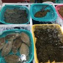 중앙시장(동) 이미지