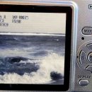 도리신 닭도리탕 | 25年 5月