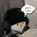 귀여운게최고야