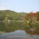 대운산자연휴양림(양산) 이미지