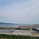 하단동1153 이미지