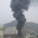 진영대창초등학교 이미지