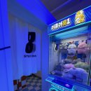 스튜디오808(어흥어흥 광주구시청점) | 어흥어흥 인형뽑기기계 만족스러운 창업 경험