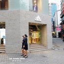 남산공원 보강공사 | 서울갈만한곳 명동부동산 여행 후기 남산 회상