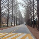 전주가는길 이미지